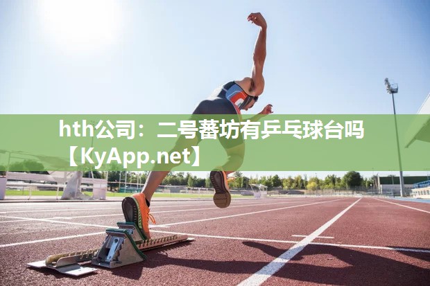 hth公司：二号蕃坊有乒乓球台吗