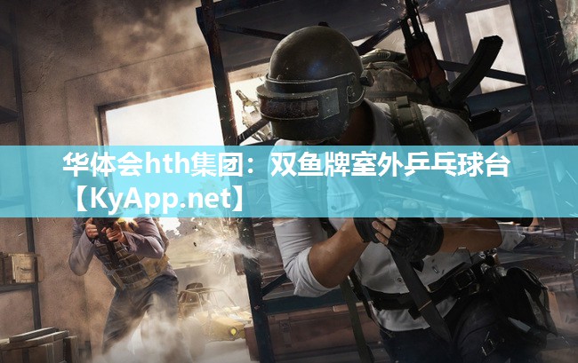 华体会hth集团：双鱼牌室外乒乓球台