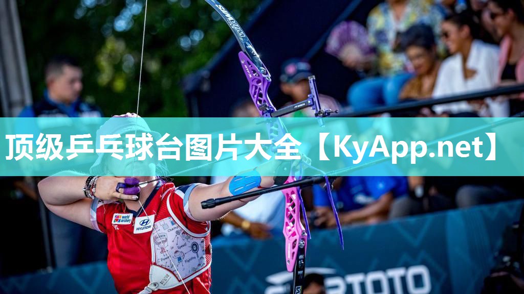 顶级乒乓球台图片大全