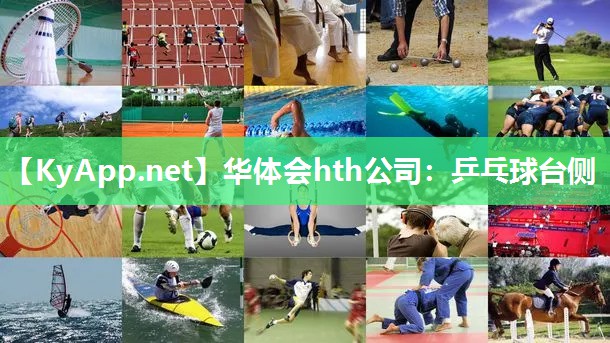 乒乓球台侧 乒乓球台侧