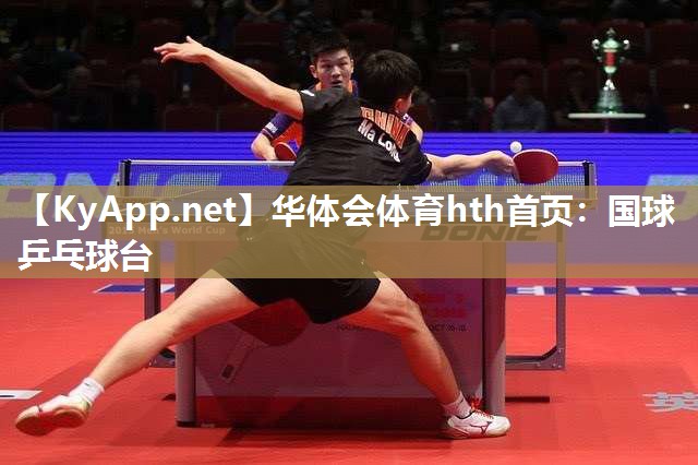 国球乒乓球台