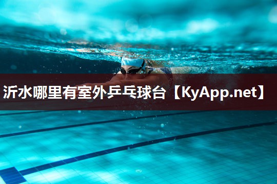 沂水哪里有室外乒乓球台 沂水哪里有室外乒乓球台