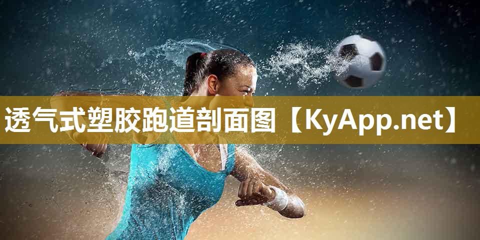 透气式塑胶跑道剖面图 透气式塑胶跑道剖面图