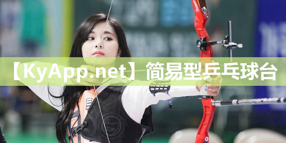 简易型乒乓球台 简易型乒乓球台
