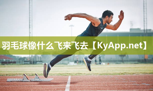 羽毛球像什么飞来飞去 羽毛球像什么飞来飞去