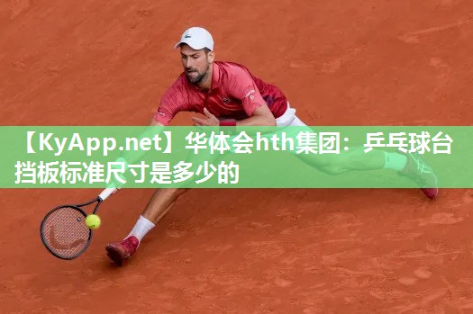 乒乓球台挡板标准尺寸是多少的
