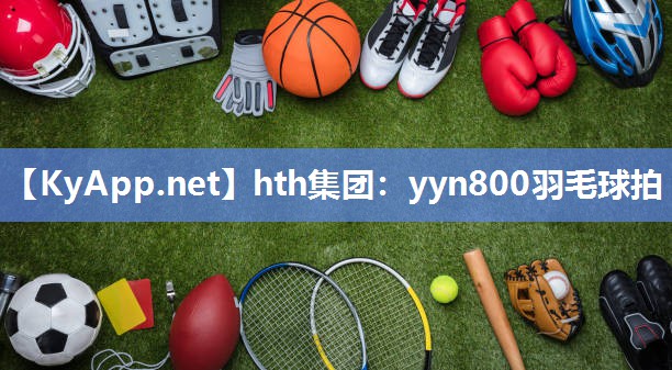 yyn800羽毛球拍 yyn800羽毛球拍