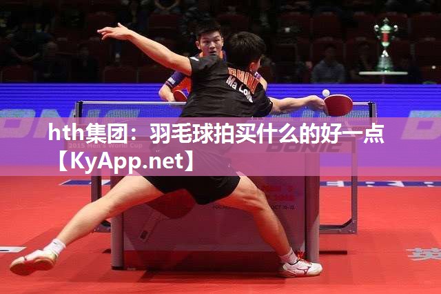 羽毛球拍买什么的好一点 羽毛球拍买什么的好一点