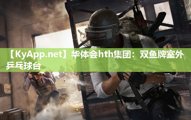 双鱼牌室外乒乓球台 双鱼牌室外乒乓球台