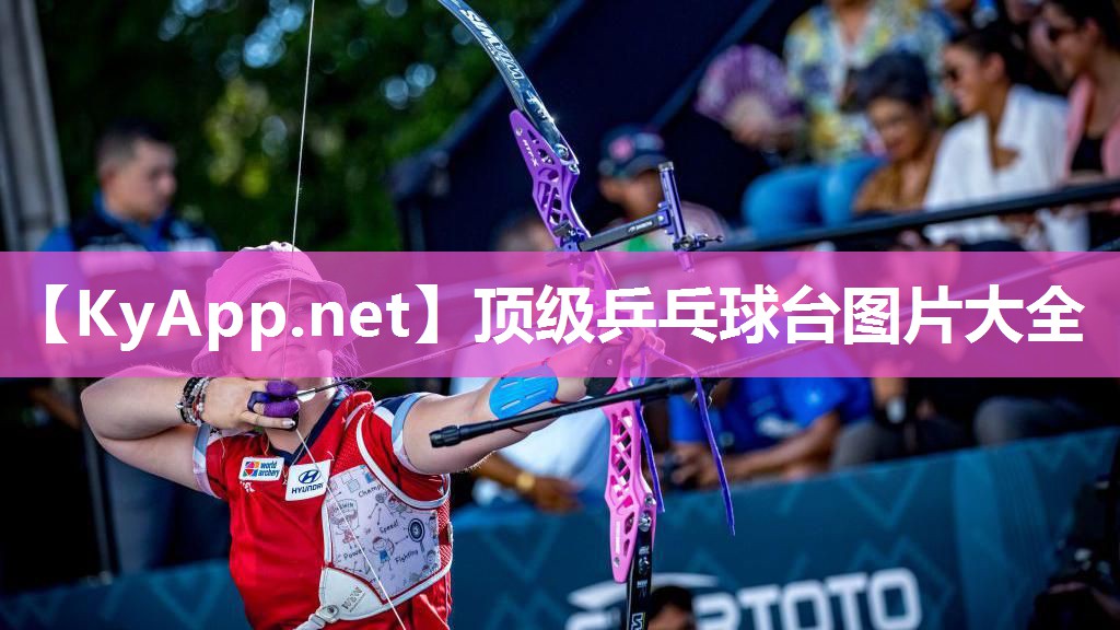 顶级乒乓球台图片大全