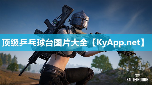 顶级乒乓球台图片大全