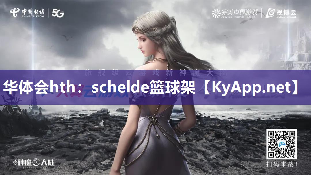 schelde篮球架 schelde篮球架